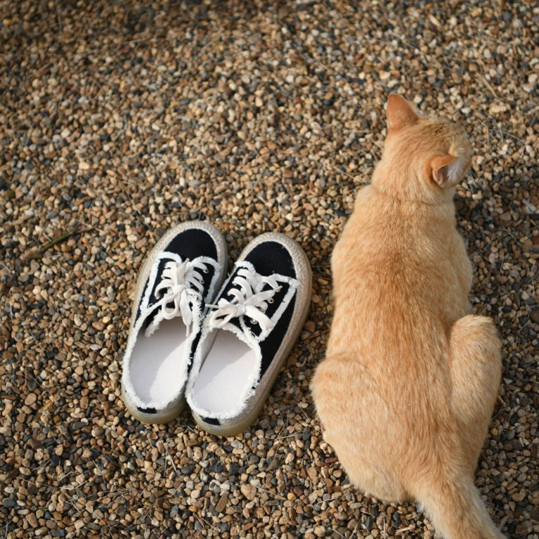 Hana shoes