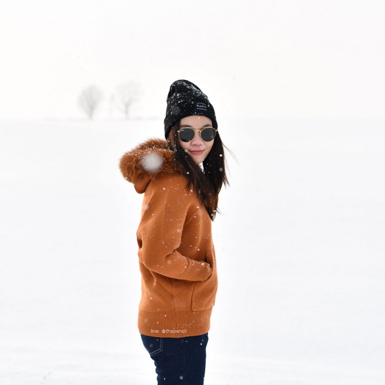 Foxy sweater (แอชบลาวน์/ดำ/เทา/น้ำตาลส้ม/ครีม)