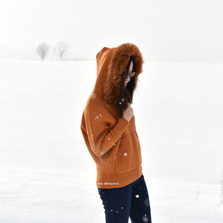 Foxy sweater (แอชบลาวน์/ดำ/เทา/น้ำตาลส้ม/ครีม)