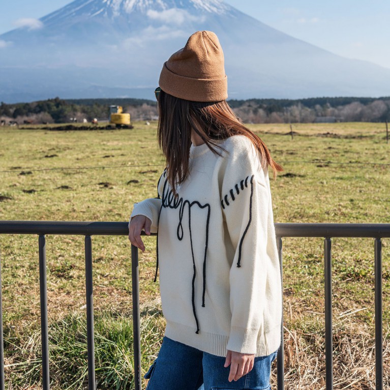 Macaron sweater