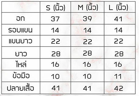 ไซส์downtown